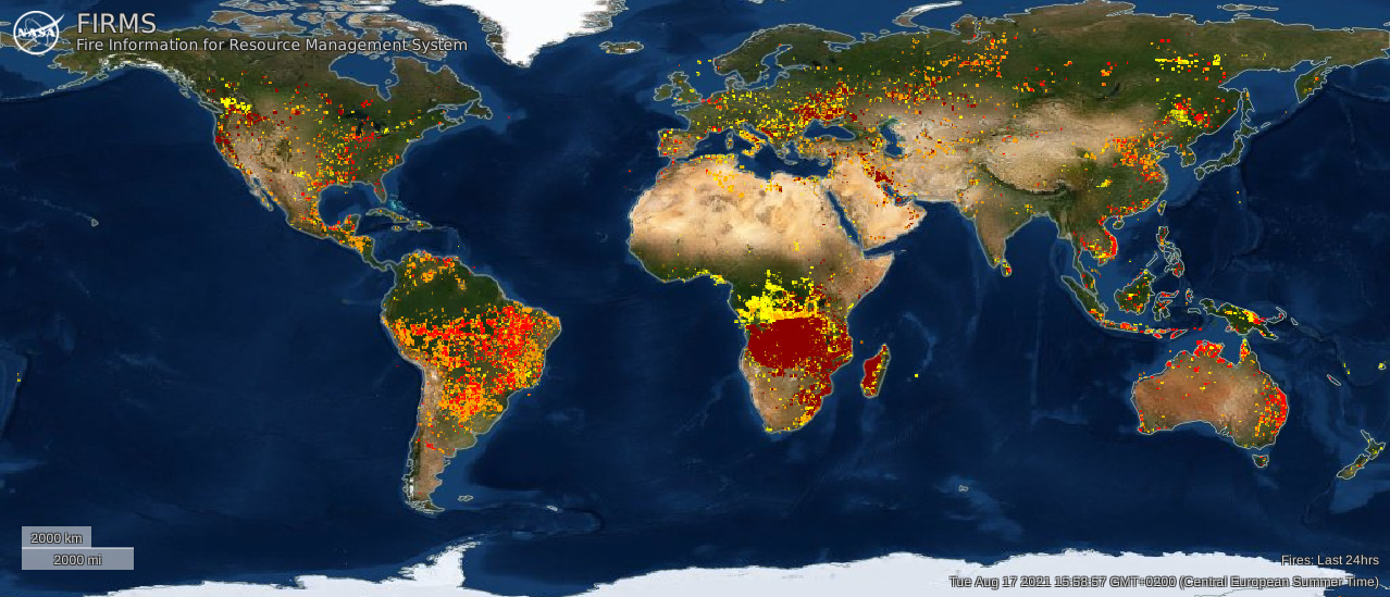 Karte mit vermuteten Bränden auf der gesamten
Welt